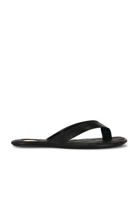 Saint Laurent Saint Laurent Carlyle Flip Flop