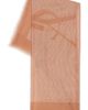 Saint Laurent Saint Laurent Cashmere Logo Scarf - 3