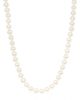 Saks Fifth Avenue Collection Women's 18K Yellow Gold & Freshwater Pearl Necklace - 5