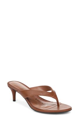 Sam Edelman Sam Edelman Amie Kitten Heel Flip Flop