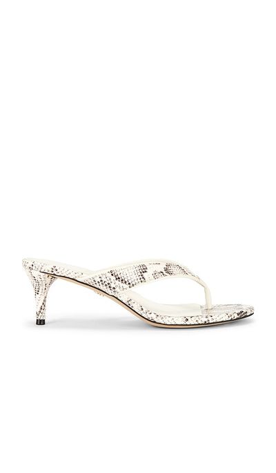Sam Edelman Sam Edelman Amie Sandal