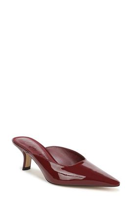Sam Edelman Sam Edelman Brandy Pointed Toe Mule
