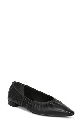 Sam Edelman Sam Edelman Essex Pointed Toe Flat