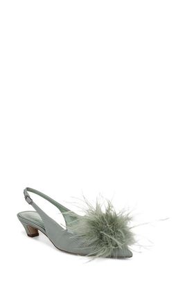 Sam Edelman Sam Edelman Finchfeather Slingback Pointed Toe Pump