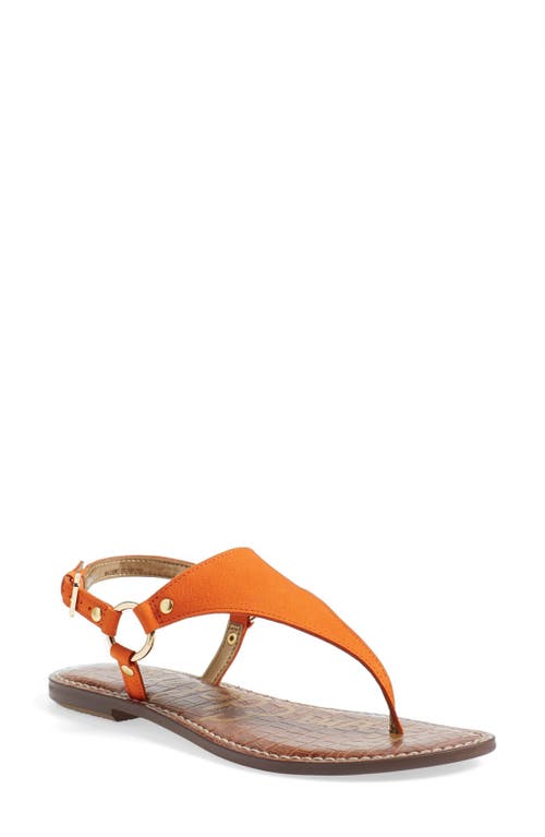 Sam Edelman Sam Edelman Greta Sandal