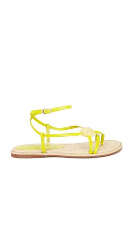 Sam Edelman Sam Edelman Rillie Sandal