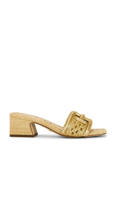 Sam Edelman Sam Edelman Waylon Weave Sandal