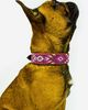 Sambboho Sambboho Melrose Dog Collar - 1