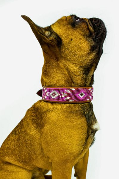 Sambboho Sambboho Melrose Dog Collar