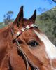 Sambboho Sambboho Phoenix Horse Browband - 1