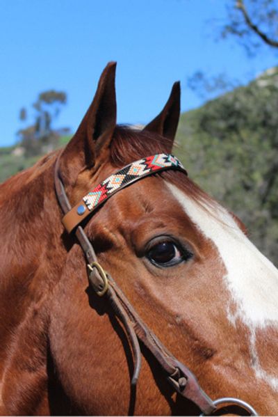 Sambboho Sambboho Phoenix Horse Browband