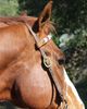 Sambboho Sambboho Phoenix Horse Browband - 5