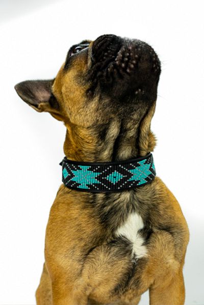 Sambboho Sambboho Saint Barth Dog Collar