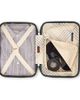 Samsonite Samsonite Virtuosa 2 Piece Set Train Case & 21" Carry On Spinner Luggage - 3
