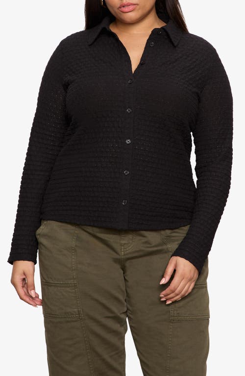Sanctuary Sanctuary Dreamer Textured Bubble Knit Button-Up Shirt