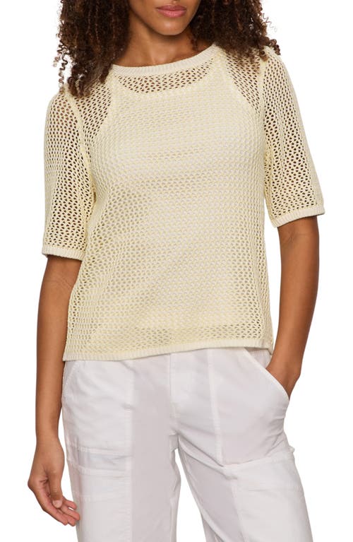 Sanctuary Sanctuary Open Stitch Short Sleeve Sweater