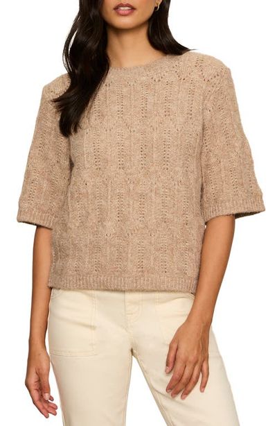 Sanctuary Sanctuary Pointelle Short Sleeve Sweater