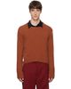 Sanderlak Sanderlak Brown Cropped Crew Sweater - 1