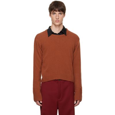 Sanderlak Sanderlak Brown Cropped Crew Sweater