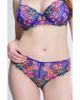 SAVAGE X FENTY SAVAGE X FENTY Sunchaser Lace Cheeky Briefs - 1