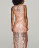 Saylor Elettra Sequin Maxi Dress - 4