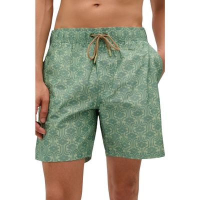 Scalpers Scalpers Pines Swimsuit