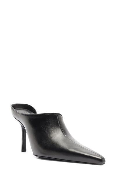 Schutz Schutz Abby Ankle Strap Pointed Toe Sandal