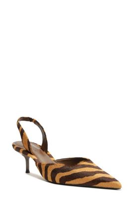 Schutz Schutz Paola Genuine Calf Hair Mid Slingback Pointed Toe Pump
