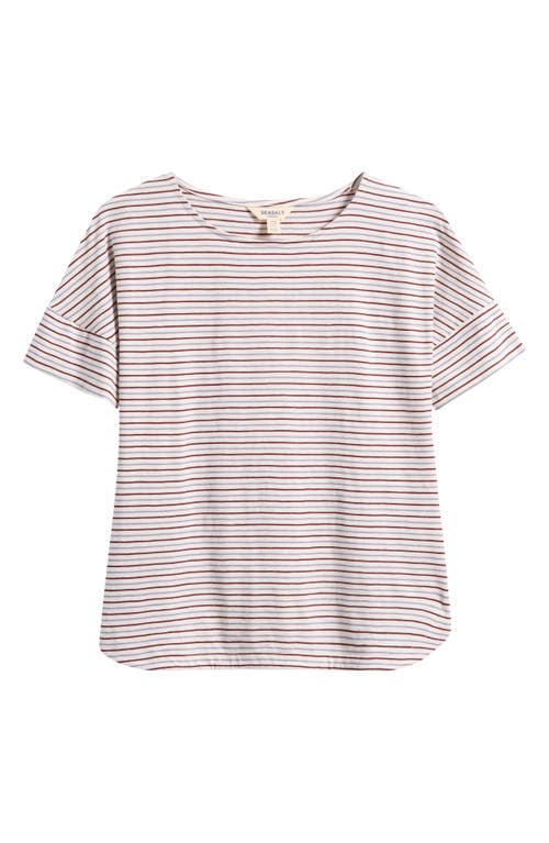 Seasalt Cornwall Seasalt Cornwall Bryher Stripe T-Shirt