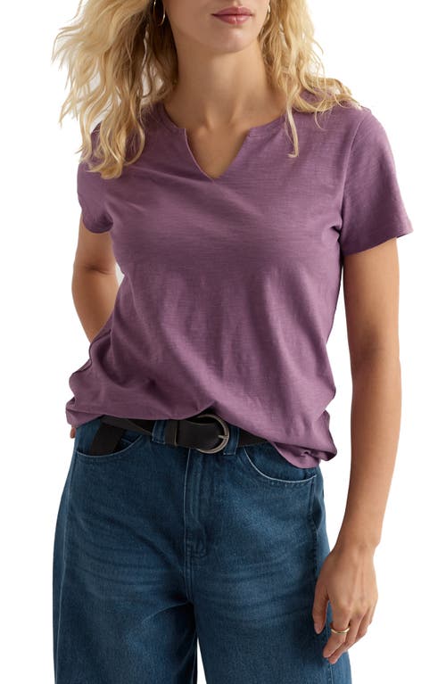 Seasalt Cornwall Seasalt Cornwall Kellow V-Neck Organic Cotton T-Shirt