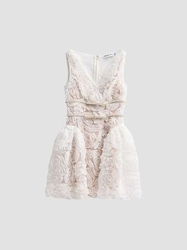 Self-Portrait Women's Tulle Laced A-Line Mini Dress