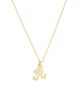 Set & Stones Set & Stones Gianna Initial Necklace - 1