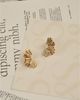 Set & Stones Set & Stones Lilah Earrings - 3