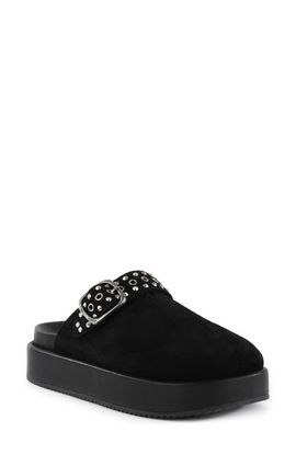Seychelles Seychelles Acclaim Clog