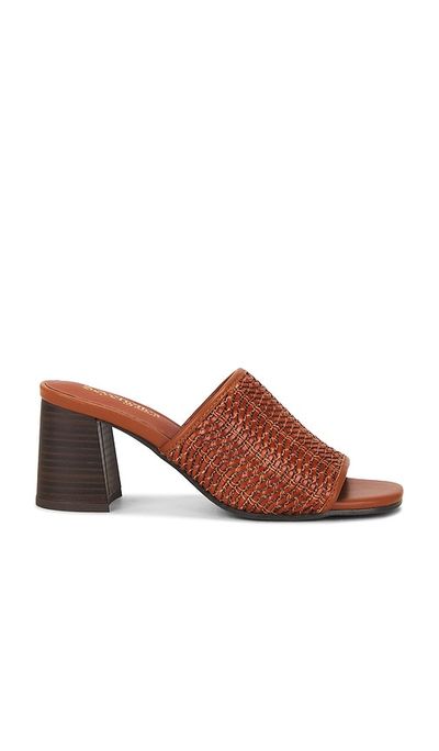 Seychelles Seychelles Adapt 3 Sandal