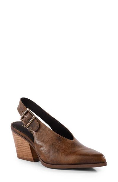 Seychelles Seychelles Baby Faced II Pointed Toe Slingback Pump