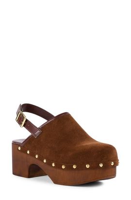 Seychelles Seychelles High Expectations Leather Clog