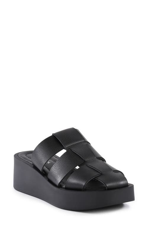 Seychelles Seychelles High Standard Platform Mule