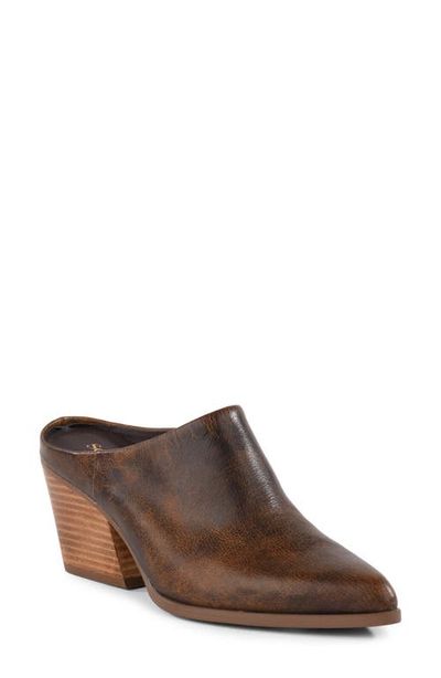 Seychelles Seychelles Morning Joe II Leather Heeled Mule