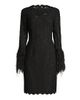 Shani Women's Feather-Trim Lace Sheath Dress - 1