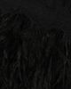 Shani Women's Feather-Trim Lace Sheath Dress - 6