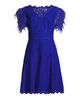 Shani Women's Feathers Lace Minidress - 1