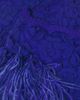 Shani Women's Feathers Lace Minidress - 6