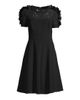 Shani Women's Floral Applique Fit-&-Flare Crepe Dress - 7