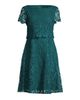 Shani Women's Floral Lace Dress - 1