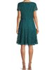 Shani Women's Floral Lace Dress - 5