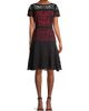 Shani Women's Laser Cut Ombre Dress - 3