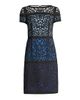 Shani Women's Ombre Laser-Cut Lace Dress - 6