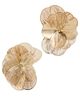 SHASHI SHASHI Latticed Featherlace Flower Studs Gold One - 1