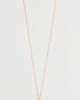 SHASHI SHASHI Long Chain Scallop Shell Necklace Gold One - 4